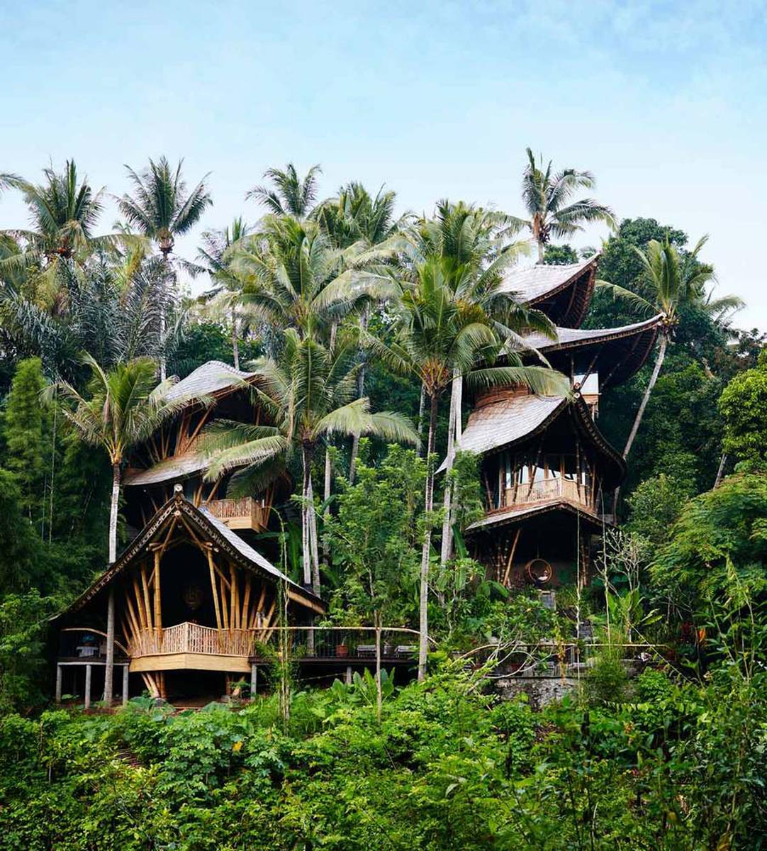 هتل در جنگل اندونزی